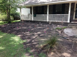 Charleston Landscaper Yard Makeover Before 2