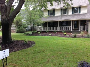 Charleston Landscaper Yard Makeover After 2