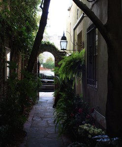 Charleston Landscaper downtown alley