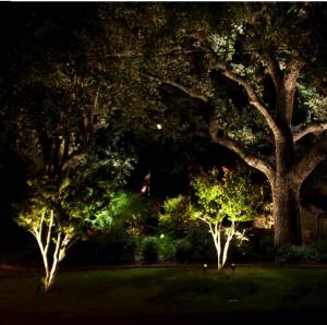 Charleston SC Landscape Design Landscape Lighting Oak