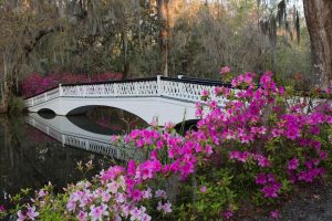 Charleston SC Landscape Design Magnolia Gardens