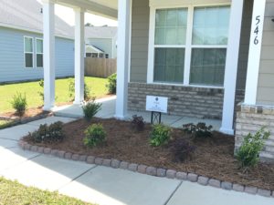 Charleston Residential Landscape Design After New Home