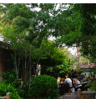 Charleston Residential Landscape Design Folly Beach