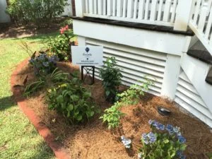 Charleston Residential Landscape Design Installation SC