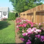 These are the knockout roses used in Lowcountry Vistas Native Landscape Design's residential landscape design project in Charleston, SC 29492.