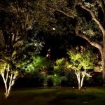 This is the landscape lighting used in Lowcountry Vistas Native Landscape Design's residential landscape design project in Mt. Pleasant, SC 29466.
