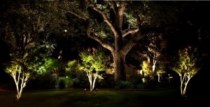 Charleston SC Landscape Design Oak Tree Lighting