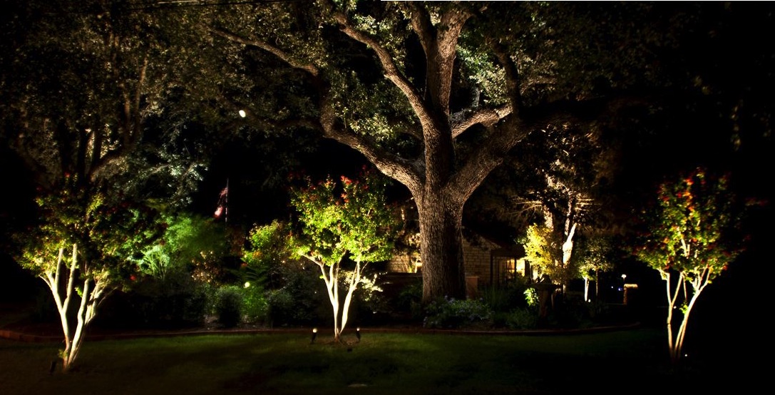 Oak Tree Lighting, illuminated oaks and crepe myrtles