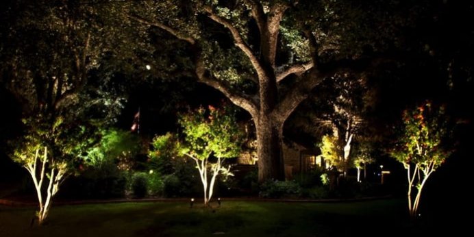 Lowcountry Vistas Charleston Landscape, How To Place Landscape Lights On Trees