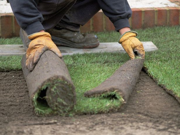 Charleston Residential Landscape Design - Laying Sod