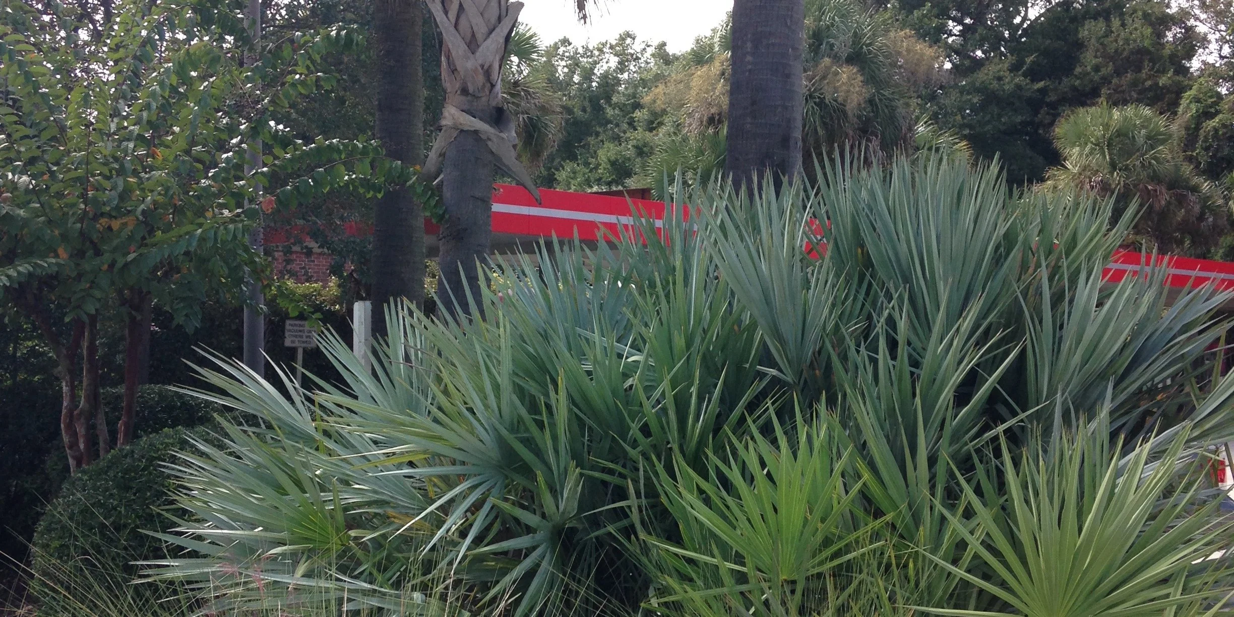 Charleston Residential Landscape Design - Coastal Lowcountry Landscape Design