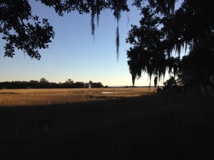 Lowcountry Vistas Charleston Salt Marsh