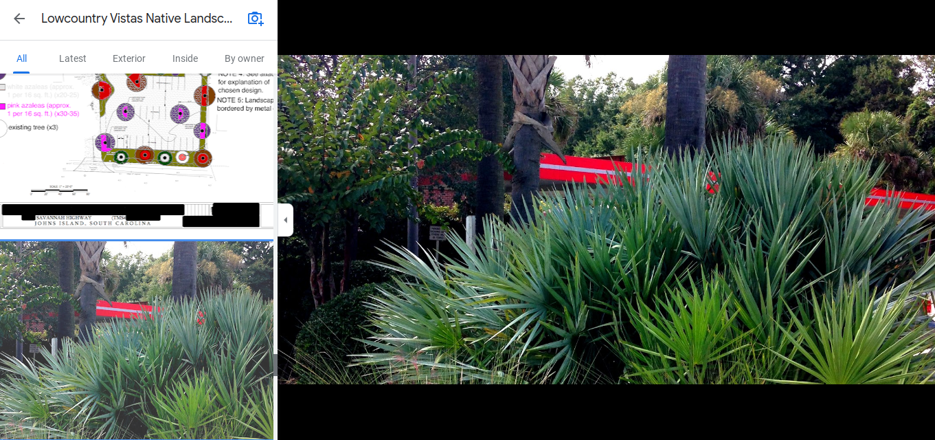 This is an image that a customer uploaded of Lowcountry Vistas Native Landscape Design's commercial landscape design in Charleston.