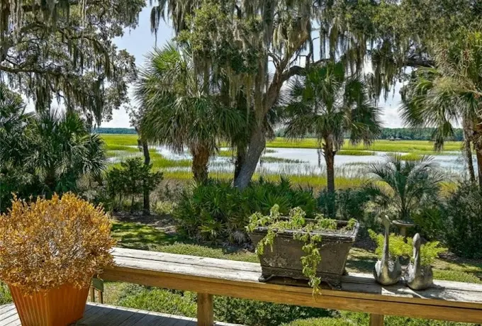 This is a photo of one of Lowcountry Vistas' marquee properties on Isle of Palms, SC 29451. It exemplifies Lowcountry Vistas Charleston's native, low-maintenance landscape design philosophy. 
