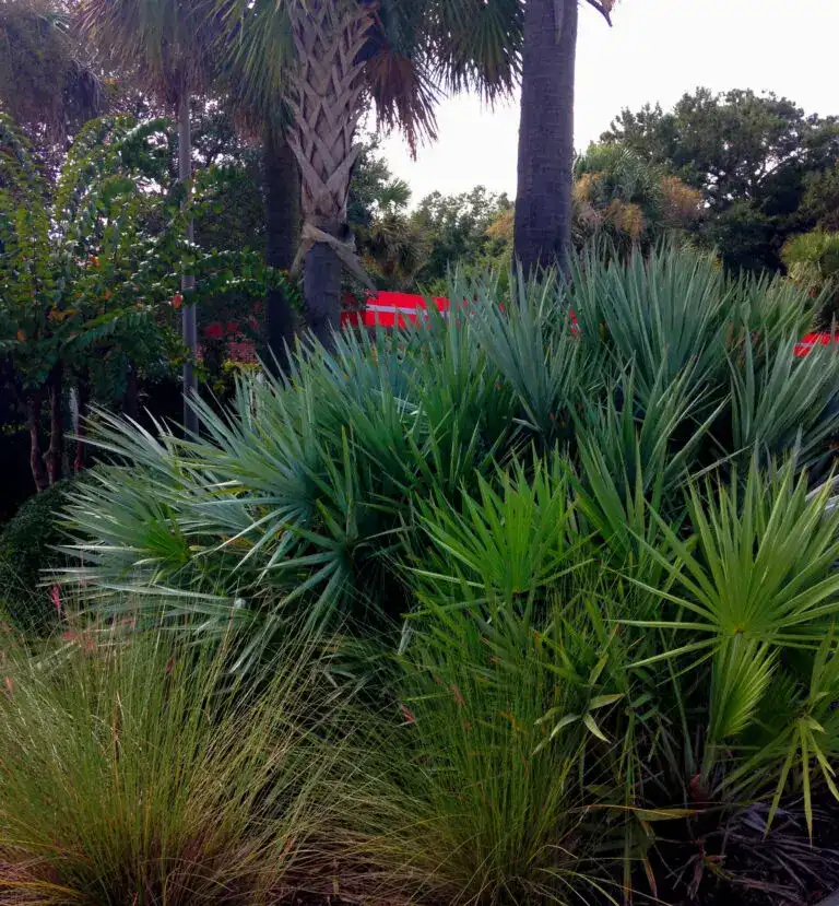 This is a photo of one of Lowcountry Vistas Native Landscape Design's commercial landscape design & installations on James Island, SC 29412. It exemplifies Lowcountry Vistas native, low-maintenance landscape design philosophy.