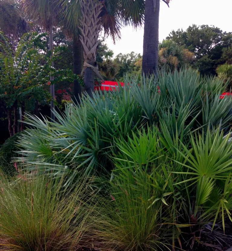 This is a photo of one of Lowcountry Vistas Native Landscape Design's commercial landscape design & installations on James Island, SC 29412. It exemplifies Lowcountry Vistas native, low-maintenance landscape design philosophy. 