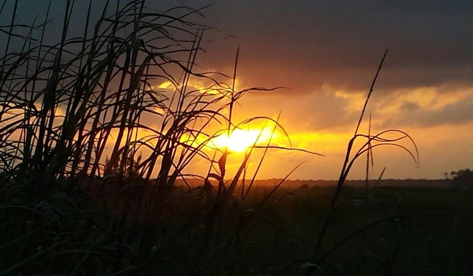This is a marsh sunset in Kiawah Island, SC 29455. Scenes like this are the inspiration for Lowcountry Vistas Native Landscape Design's native, low-maintenance landscape design philosophy. 