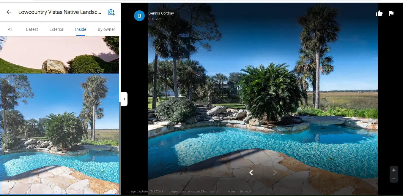 This is a screenshot of the homeowner's photo of Lowcountry Vistas Native Landscape Design's pool area landscape design and installation project in Mt. Pleasant, SC 29466.