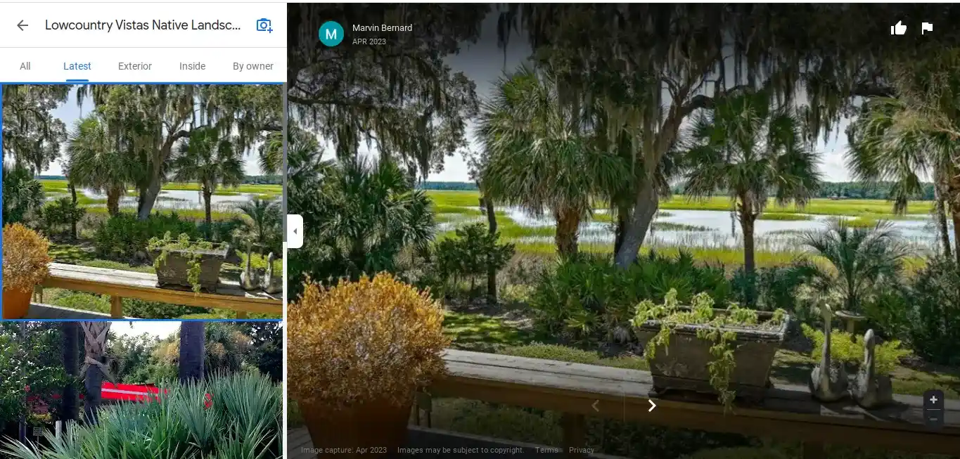 This is an image of a homeowner's residential property in Mt. Pleasant, SC 29466 that Lowcountry Vistas Native Landscape Design beautified using native, low-maintenance landscape design concepts.