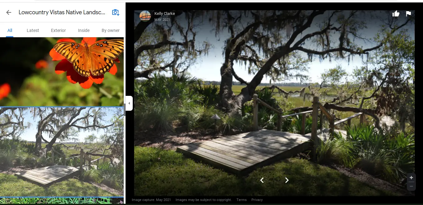 This is a screenshot of the homeowner's photo of Lowcountry Vistas Native Landscape Design's landscape design and installation project in Mt. Pleasant, SC 29466.