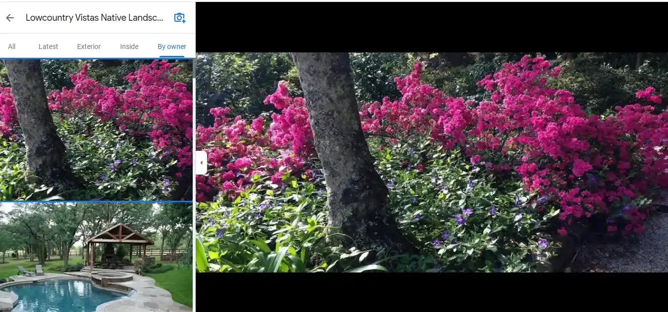 Lowcountry-Vistas-Native-Landscape-Design-flowers-from-Hollywood-SC-29449-project