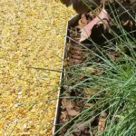 This is the metal edging used in Lowcountry Vistas Native Landscape Design's residential landscape design project in Charleston, SC 29492.